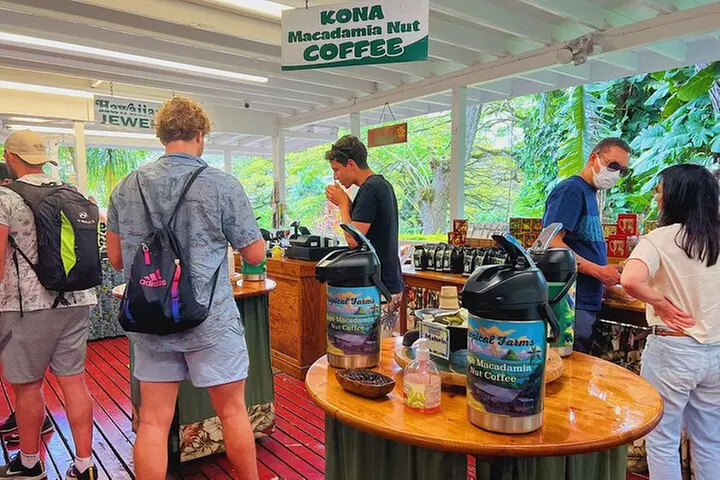 Diamond Head Hiking and Oahu Island Experience feat. North Shore