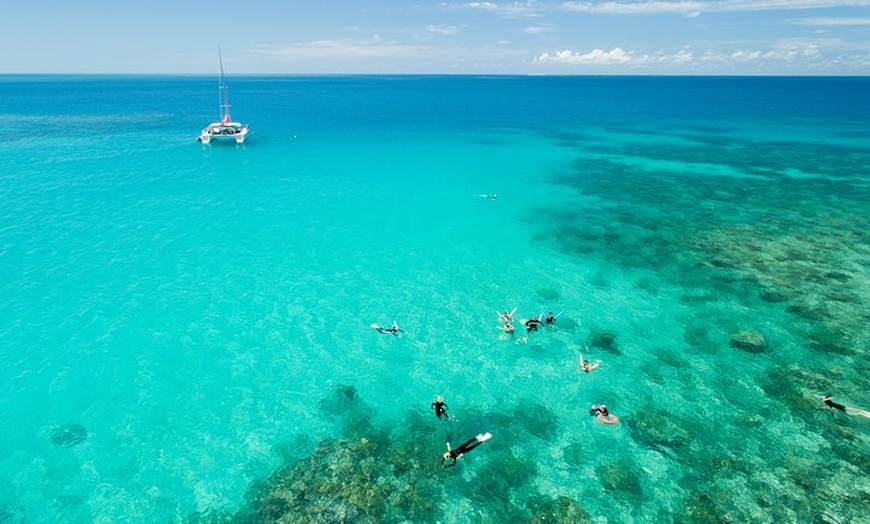 Image 3: Full-Day Great Barrier Reef Sailing Trip from Cairns