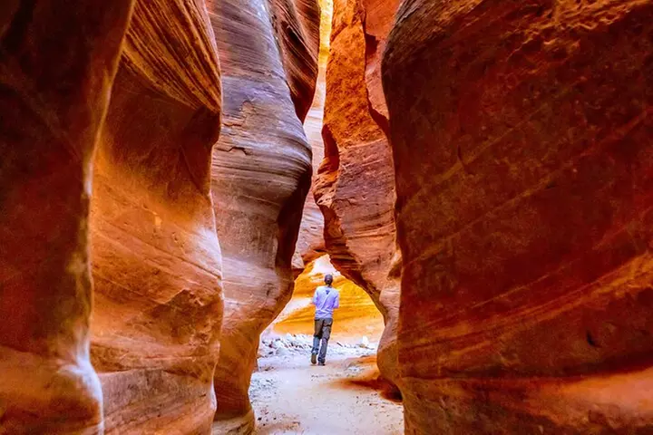 East Zion Crimson Canyon Hike & UTV Adventure