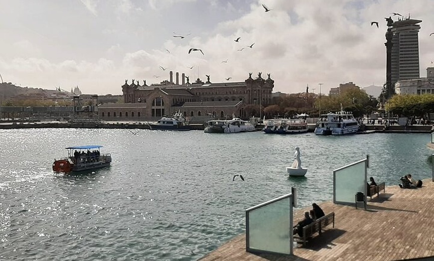Image 17: Alquiler de Barcos Privados Cruceros a Pedales Valencia Ciclo Barcos