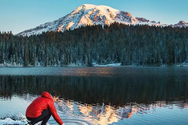 Best of Mount Rainier National Park from Seattle: All-Inclusive Sma...