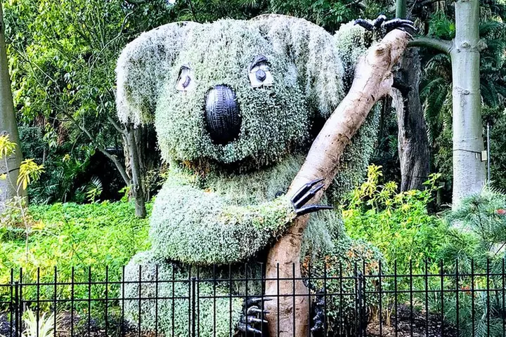 Discover Sydney - Botanic - Primary Image