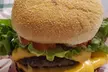 5% Cash Back at ChipMonks - Second Medium