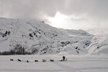 1.5 Hr - Winter Dog Sledding in Knik, Alaska - Second Medium