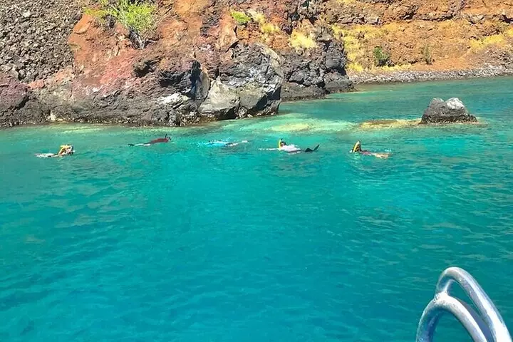 Kona Snorkel Tour: Captain Cook Reef Snorkel, Dolphin & Sea Caves