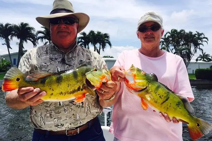 Peacock Bass Fishing Trips Near Key Largo