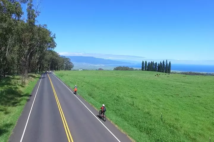 Best Haleakala Downhill Self-Guided Bike Tour with Maui Sunriders