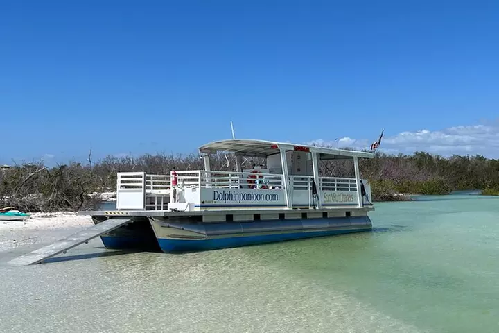2 HR Dolphin Tour for 7 people