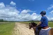 Small-Group Poplar Grove Plantation Horseback Ride in Ravenel - Second Medium