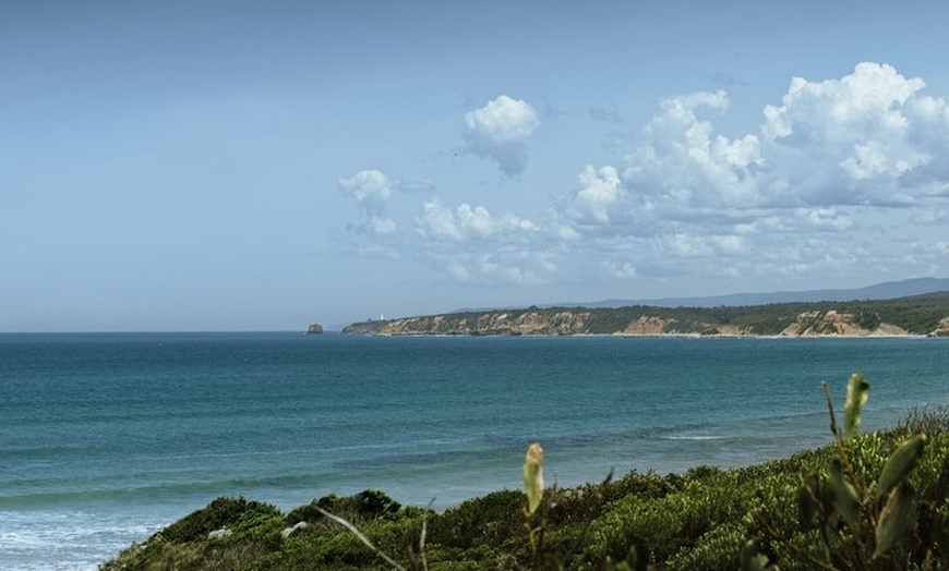 Image 11: Melbourne: Great Ocean Road & Iconic Coastal Views Day Tour