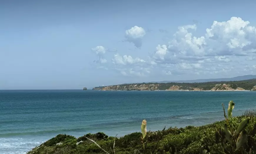 Image 8: Melbourne Great Ocean Road Scenic Day Tour to 12 Apostles