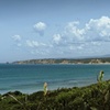 Image 11: Melbourne: Great Ocean Road & Iconic Coastal Views Day Tour