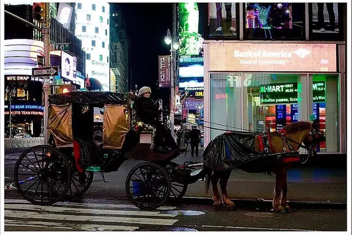 NYC Central Park and Rockefeller Center Private Tour