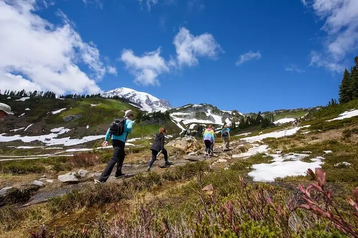 Best of Mount Rainier National Park from Seattle: All-Inclusive Sma...