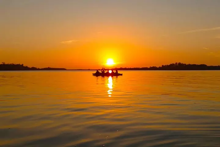 Kayak Adventure of Shell Key Preserve & Island with a Local