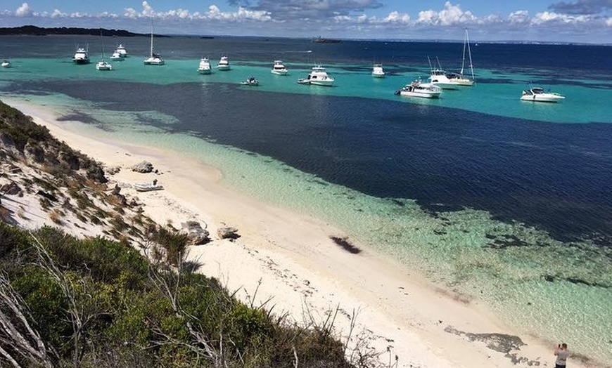 Image 6: Experience Rottnest with Ferry & Bike Hire