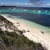 Image 6: Experience Rottnest with Ferry & Bike Hire