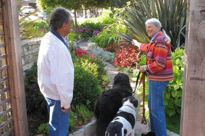 Guided 2-Hour Walking Tour in Carmel by the Sea