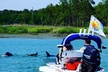 Hilton Head Island Guided Water Tour by Creek Cat Boat - Second Medium