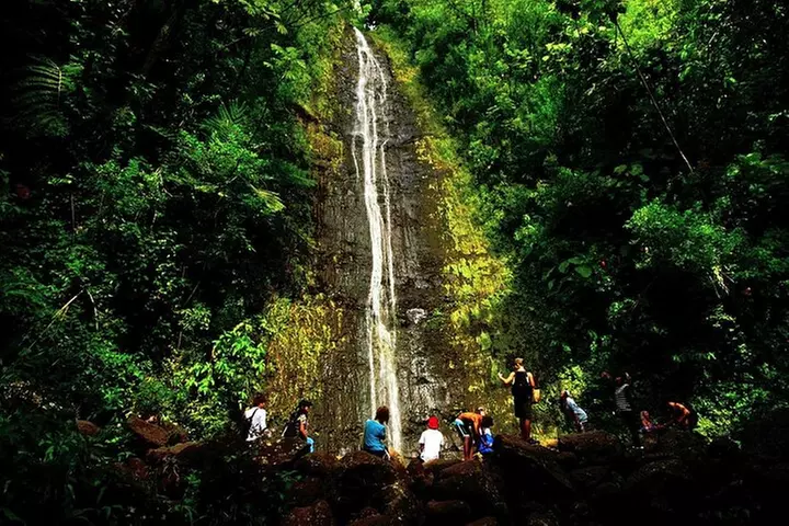 Honolulu Rainforest Self-Guided Audio Tour