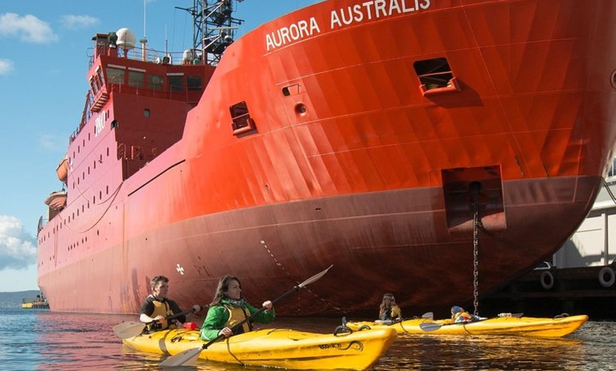 Image 8: Hobart Kayak Tour