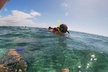 Snorkeling Adventure in Puerto Morelos Includes snack, Water and Round Trip. - Second Medium