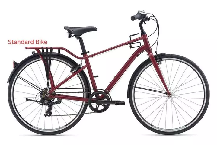 Los Angeles Bike Rental or Bike Hire: Pedal or Electric Options