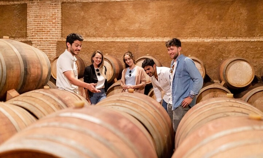 Image 6: Segovia, Ávila y Toledo en 2 días desde Madrid