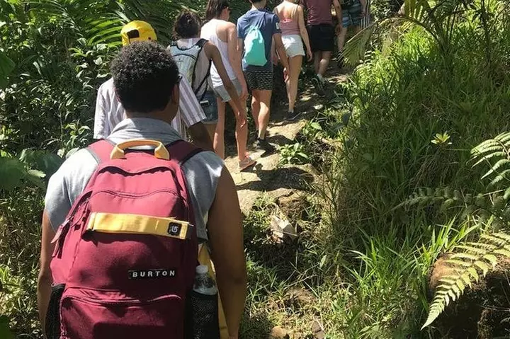 Day Trip to El Yunque Tropical Rainforest from San Juan