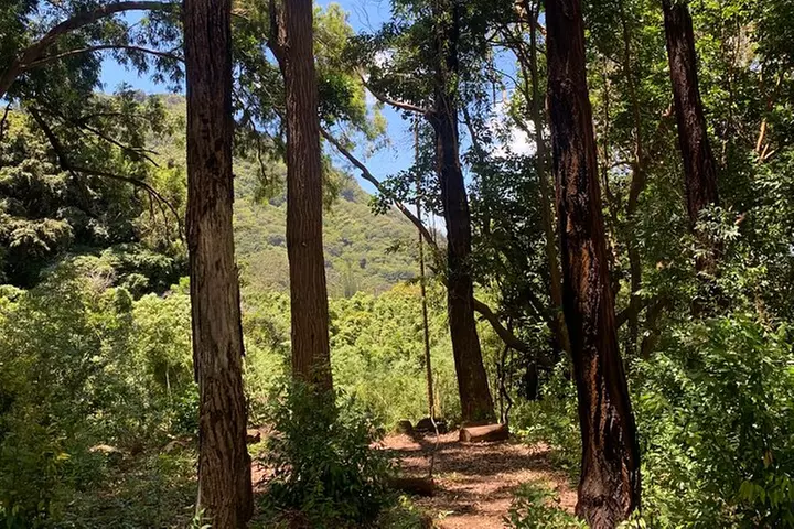 Hawaii's Forest Walking Tour with Waterfall and Swimming Pool - Second Medium