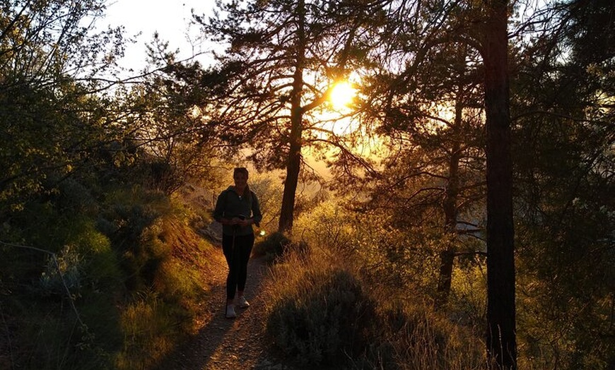 Image 36: NUEVO:Sunset Hike & Summit Sierra Nevada - Tour privado con cachorro