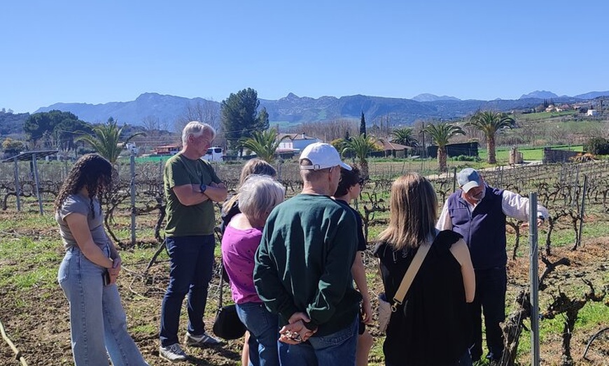 Image 6: Ruta Puentes y Murallas de Ronda + Visita a Bodega y cata 4 vinos
