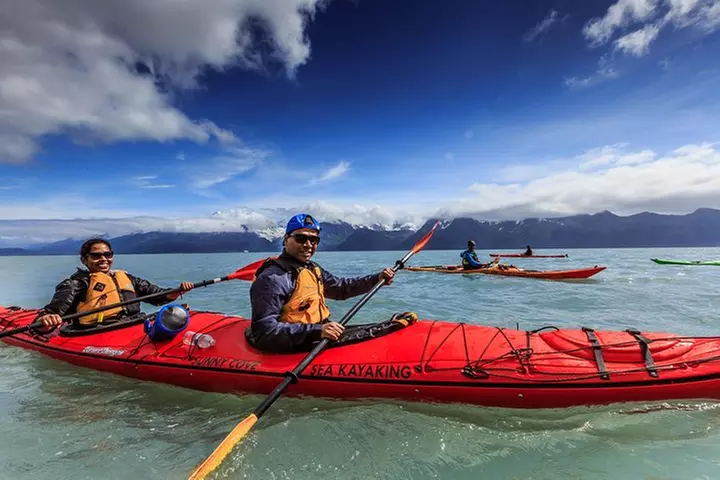 Resurrection Bay Kayaking Adventure - Second Medium