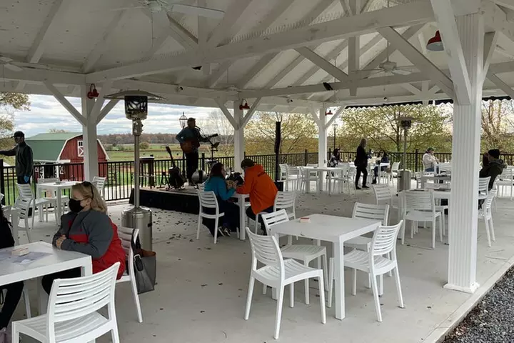 Private Loudoun County Wine Tour from DC with Stops at 3 Wineries