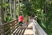 Kayak Rental (2hr) - Blue Spring State Park - Second Medium