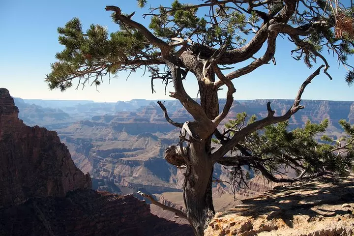 Comprehensive Grand Canyon Tour from Sedona