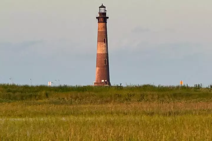 Private Charleston Dolphin and Eco Boat Tour