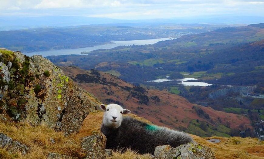 Image 5: Ambleside to Windermere Mini Tour - Includes stop at Golden Rule