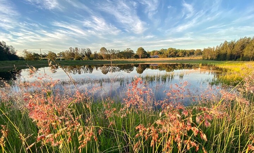 Image 7: Private full-day wine tour in the Hunter Valley