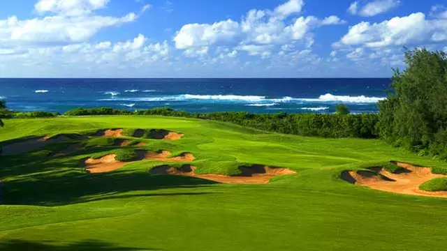 Online Booking - Round of Golf at Turtle Bay Resort Arnold Palmer Course - Primary Image