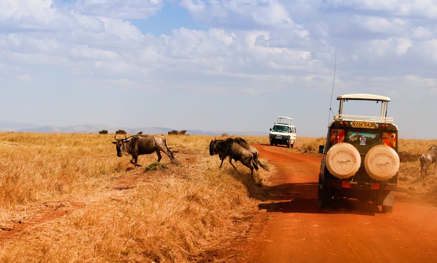 Image 17: ✈ KENYA | De Nairobi à Mombasa - Les secrets du Kenya en Safari & e...