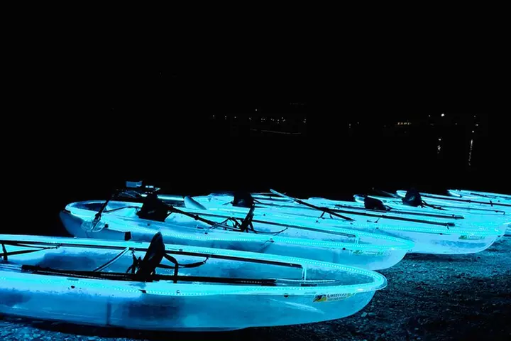 Las Vegas Neon Lights Clear-View Kayak Night Tour on the Colorado River - Primary Image