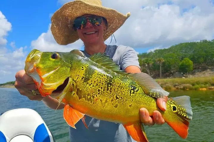 Peacock Bass Fishing Trips Near Key Largo
