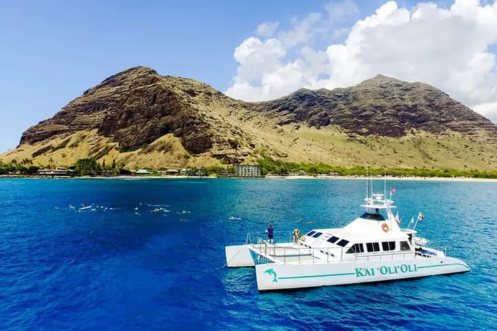 Oahu: Private Sunset Cruise and Dolphin Watch with Hot Buffett