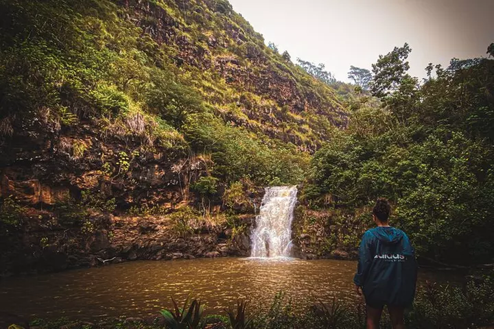Waterfall Hike in Hawai'i Rainforest Trail