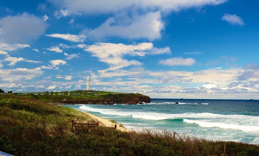 Image 3: Kiama Coastal Day Tour in Sea Cliff Bridge Blowhole and Wildlife