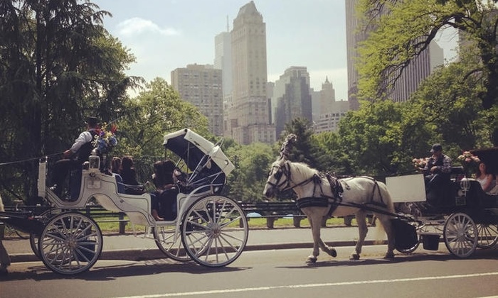 central park carriage ride groupon