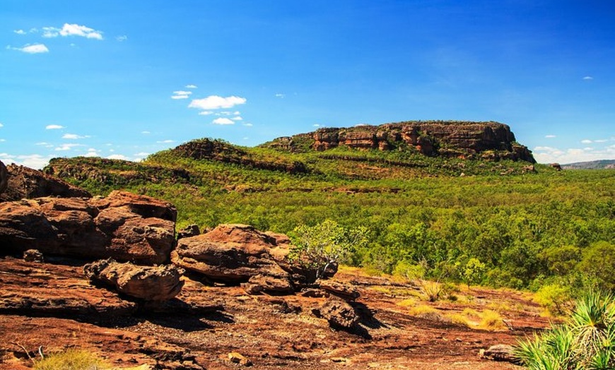 Image 7: Kakadu, Nourlangie and Yellow Waters Tour from Darwin