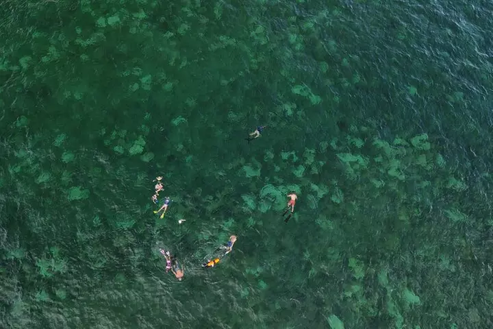 Beach Snorkeling Adventure in Lauderdale by the Sea