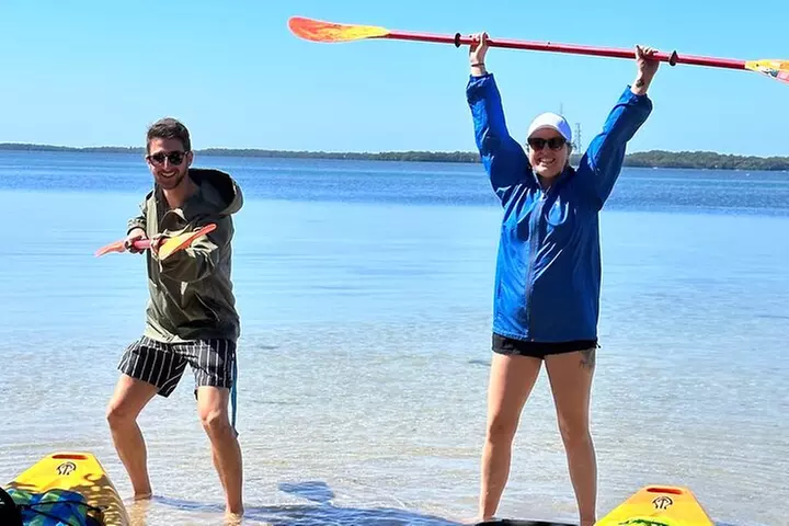 Exclusive Kayak Expedition: Exploring the Mangroves to Shell Key